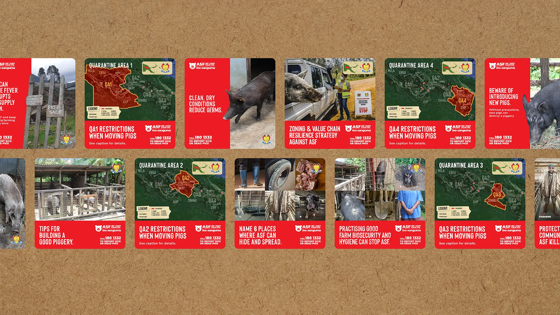 African Swine Fever Awareness Campaign page 4